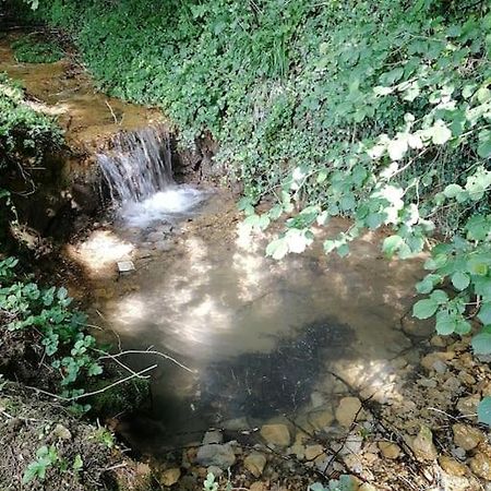 דירות Champagnat  Domaine Moulin De Quincenat מראה חיצוני תמונה