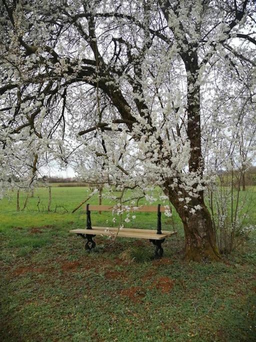 דירות Champagnat  Domaine Moulin De Quincenat מראה חיצוני תמונה