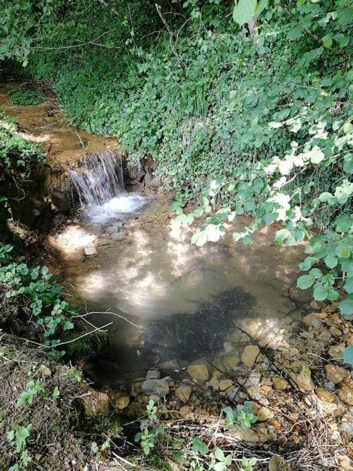 דירות Champagnat  Domaine Moulin De Quincenat מראה חיצוני תמונה